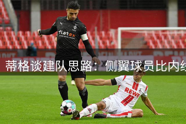 蒂格谈建队思路：侧翼球员比内线更具选秀价值